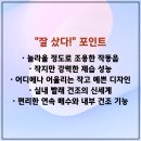 D11 | 듀플렉스 제습기 11L D11 후기 장점 단점