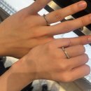 씨드하모니 이미지