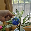 북툰 | [이벤트/학교도서관][2025] '내가 살고 있는 별 아름다운 지구' 이벤트 및 6월의 기념일 전시(6월 5일...