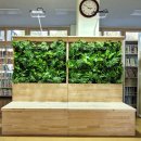 물야중학교 이미지