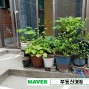 흑교사거리 이미지