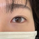 마이엘뷰티스튜디오 | 하남미사 속눈썹펌 | 바짝 잘 올려주는 ‘마이엘뷰티스튜디오’ 블랙 틴팅펌 후기