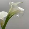 포브(FORVE) 네이버블로그