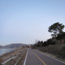 하자포
