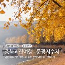 중원은행2-D-1 | 충북괴산여행 힐링 명소 문광저수지 은행나무길 아이와함께 산책 후기