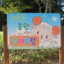 늘솔길공원양떼목장 이미지