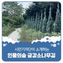 동삭1교 이미지