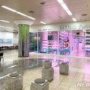 메트로디자인 뉴시스