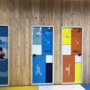 경희대 석사 태비 태권도 이미지