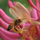 인동농장 이미지