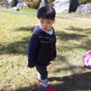 서천레스피아공원 이미지