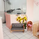 꽃보다 멍 이미지