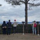 순천만 습지 이미지