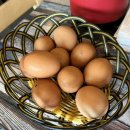[제주 서귀포 맛집]우연히 들렸지만 완밥했던 아침식사 가능한 &#34;일품순두부&#34;