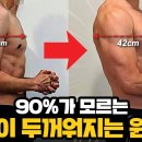 헬스할 때 '몸통 두께'부터 키워야 하는 이유?(등과 흉곽을 두텁게 만드는 운동루틴) 이미지