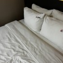 에센스 모텔 | 부산 온천장 호텔 비교 | 대성관 호텔vs킹 호텔 (1)