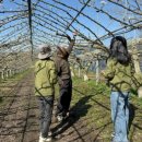 함평군농업기술센터 이미지