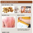 털보식품