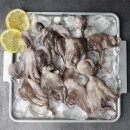 왕쭈꾸미 이미지