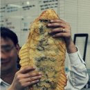 참맛장어 이미지