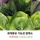 농업법인후무스(주) | 모듬쌈채소 국내산쌈 샐러드야채 500g 초록스타