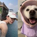 줄리비