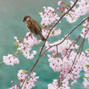 도구로1길 69 이미지