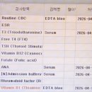 혈액검사 이미지