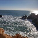 바다축산 이미지