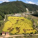 10월 21일 정기산행 전남 옥정호 둘레길, 구절초축제 이미지