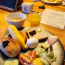 [23유럽-b] 프랑크푸르트(Frankfurt)🇩🇪