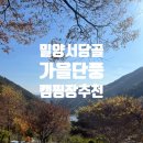 대강오토캠핑장 | [밀양 서당골 오토 캠핑장] 부산 근교 캠핑장 추천 경남 가을 단풍 캠핑｜명당 사이트 마당1-1 후기