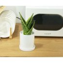 정화 슈퍼 이미지