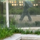 다인동물병원 | 지금은 12월, 이야기는 7월 🛟