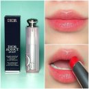 디올 | 디올립글로우 031 스트로베리 발색 후기 디올립밤 디올어딕트립글로우 발색