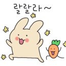 도야족발여수
