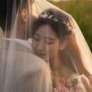 초코필름 이미지