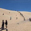 옷의나라 | 호주 신혼여행 포트스테판투어 모래썰매 후기 옷차림 할인코드