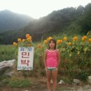 솔섬민박 이미지