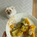 오븐앤도그 | 구리 강아지수제간식 오븐앤도그 건강식 기호성 높은 간식 후기