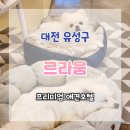 르라움 이미지