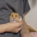 (주)코리아세븐홍대서교점 | 새로운 시작, 운동일지 16