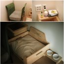 주식회사 현대수리조트 | 태안 가족여행 코스와 탼 한옥비치리조트 반려견 동반 여행/ 댕댕 후기