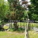 양평부동산카페공인중개사사무소 이미지