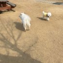 낙성대 공원 이미지