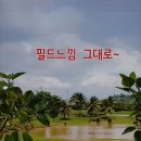 지스윙스크린골프연습장 이미지