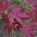 누리농장 이미지