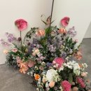 바나나소프트 이미지