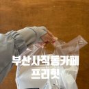 부산 사직동 카페 케이크맛집 프리힛 포장후기