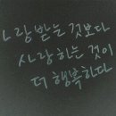 푸들사랑 이미지